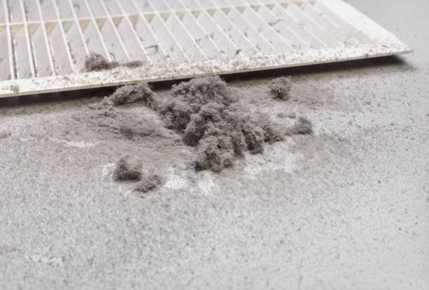 Best Affordable Air Duct Cleaning  in Orwigsburg, PA